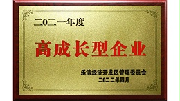 2021年度高成长型企业_欣灵