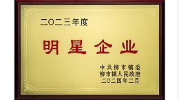 欣灵-2023年度柳市镇明星企业