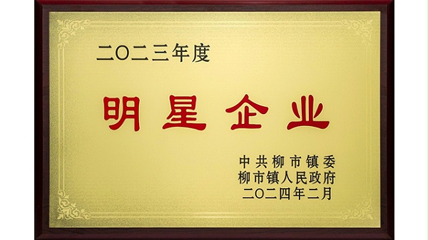 欣灵-2023年度柳市镇明星企业